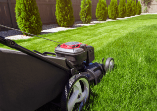 Lawn mower in the garden on green grass