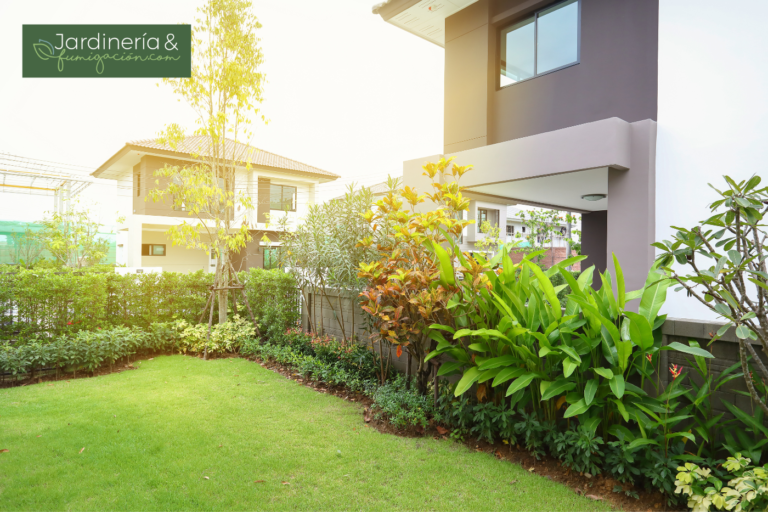 ¡Aprende a cuidar tu jardín con estos consejos!