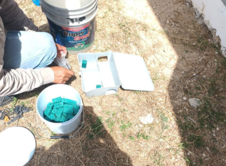 jardineria y fumigacion merida