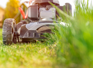 jardineria y fumigacion merida