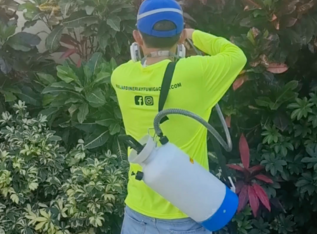 jardineria y fumigacion merida