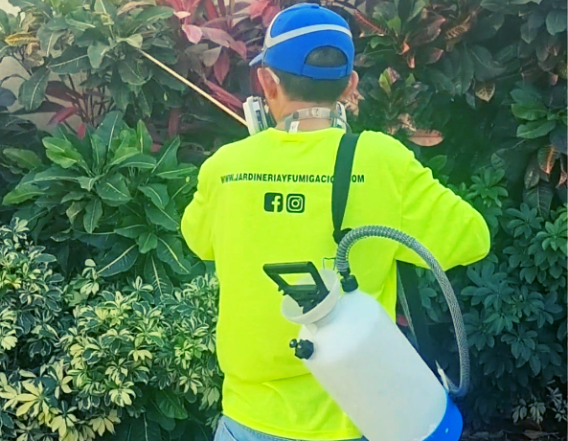Jardineria y Fumigacion Merida