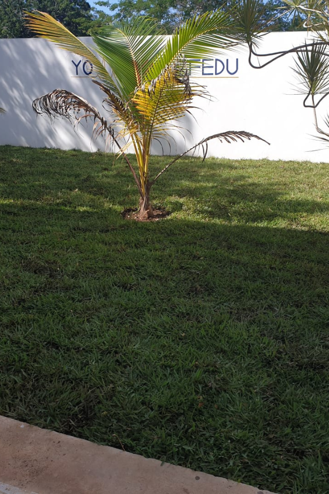 jardineria y fumigacion